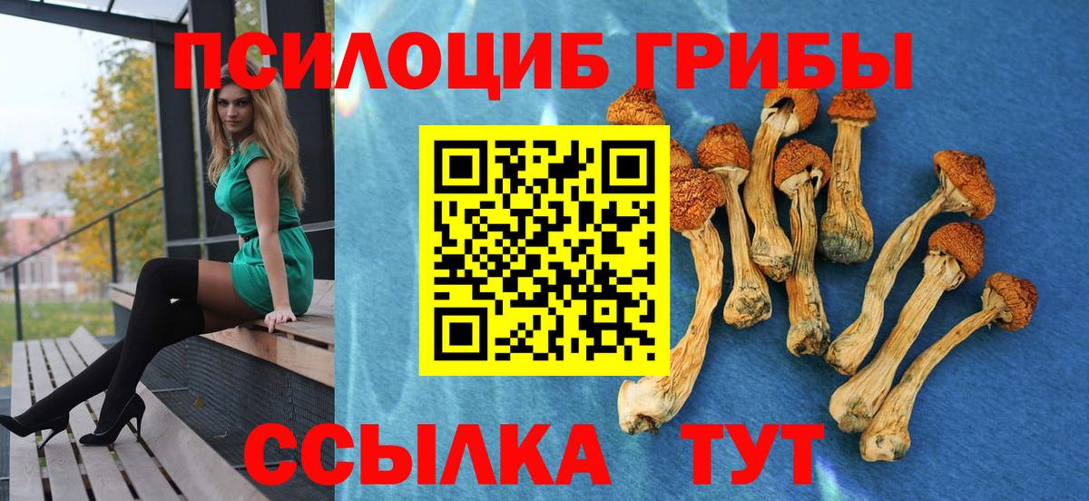 Галлюциногенные грибы GOLDEN TEACHER Барнаул