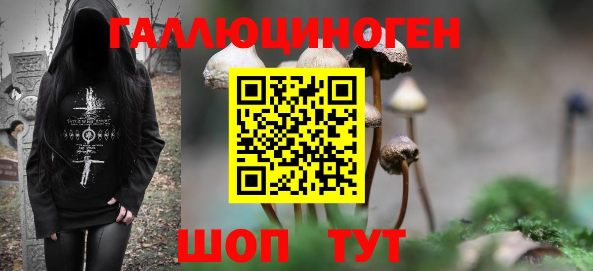 Псилоцибиновые грибы прущие грибы  Вход с VPN  Псилоцибиновые грибы Psilocybe  Барнаул 